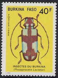 Skap-burkina-faso_10_insects_775-78a.jpg-crop-188x250at18-277.jpg