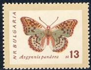 Skap-bulgaria_05_bfly-moths_1238-45.jpg-crop-186x143at557-151.jpg