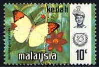 Skap-malaysia_54_bfly.jpg-crop-197x133at201-139.jpg