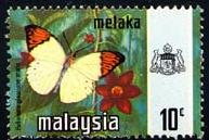 Skap-malaysia_60_bfly.jpg-crop-193x129at202-137.jpg
