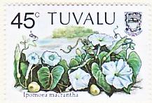 WSA-Tuvalu-Postage-1984-1.jpg-crop-217x147at423-745.jpg