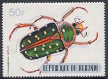 Skap-burundi_03_beetles-silver-bottom_312-321.jpg-crop-213x156at314-315.jpg