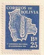 ARC-bolivia19.jpg-crop-149x186at421-810.jpg