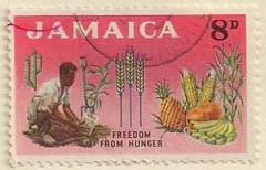 ARC-jamaica16.jpg-crop-240x154at478-55.jpg