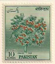 ARC-pakistan07.jpg-crop-188x220at317-1055.jpg