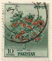 ARC-pakistan26.jpg-crop-182x211at178-111.jpg