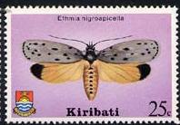Skap-kiribati_02_moth.jpg-crop-198x138at202-3.jpg