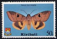 Skap-kiribati_02_moth.jpg-crop-202x138at594-7.jpg
