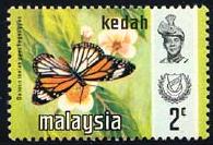 Skap-malaysia_54_bfly.jpg-crop-195x133at298-5.jpg