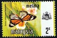 Skap-malaysia_60_bfly.jpg-crop-193x129at313-5.jpg