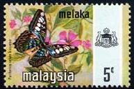 Skap-malaysia_60_bfly.jpg-crop-193x129at521-3.jpg