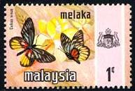 Skap-malaysia_60_bfly.jpg-crop-193x131at114-2.jpg