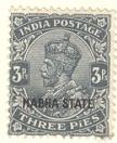 WSA-India-Nabha-1924-37.jpg-crop-108x132at103-418.jpg