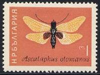 Skap-bulgaria_06_insects_1332-37.jpg-crop-200x150at13-62.jpg