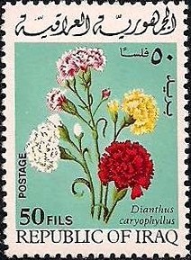 Colnect-1573-905-Carnations.jpg