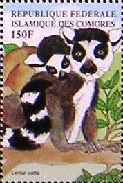 Colnect-5062-160-Lemur-catta.jpg