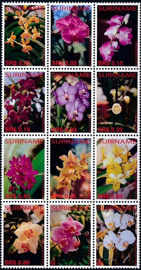 Colnect-3979-182-Orchids.jpg