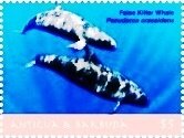Colnect-6436-361-Kiler-whales.jpg