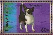 Colnect-5873-022-Chihuahua.jpg
