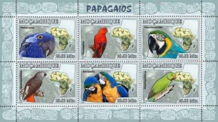 Colnect-6130-314-Parrots.jpg