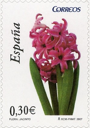 Colnect-577-838-Hyacinth.jpg