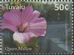Colnect-6268-803-Queen-Mallow.jpg