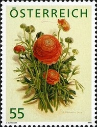 Colnect-1156-649-Ranunculus.jpg