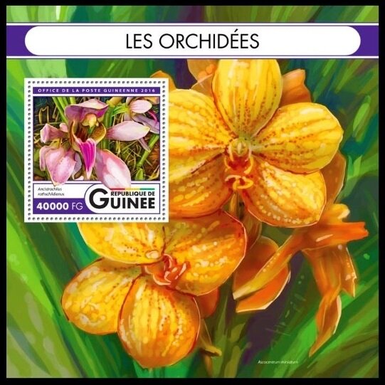Colnect-5864-531-Orchids.jpg