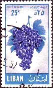 Colnect-745-607-Grapes.jpg