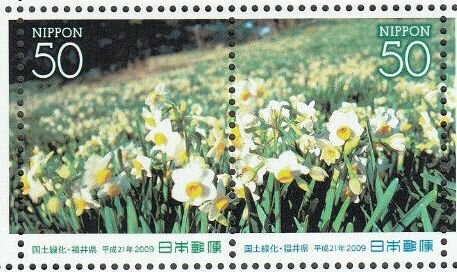Colnect-5532-061-Narcissus.jpg