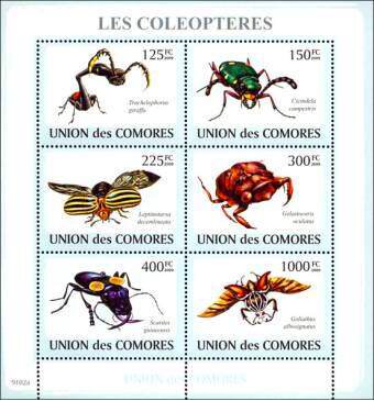 Colnect-6158-622-Beetles.jpg