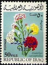 Colnect-1954-865-Carnations.jpg