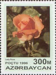 Colnect-1095-677-Lady-rose.jpg