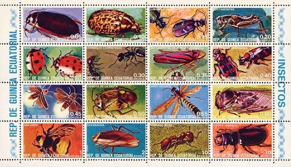Colnect-2095-780-Insects.jpg