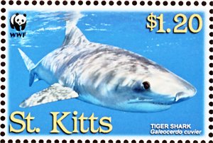 Colnect-1659-407-Tiger-Shark.jpg