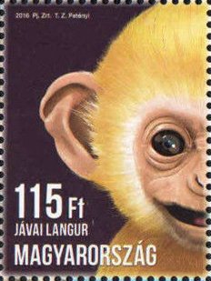 Colnect-3625-588-Javan-langur.jpg