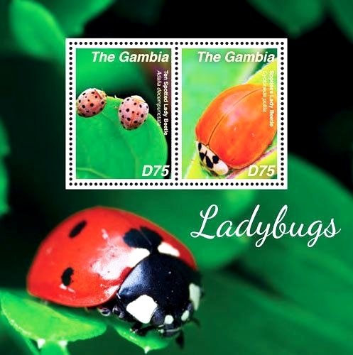Colnect-3611-913-Ladybugs.jpg