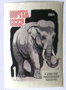 Colnect-536-392-Elephant.jpg