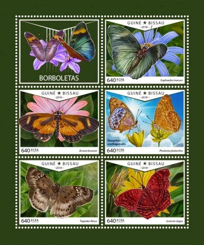 Colnect-5414-129-Butterflies.jpg