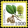 2004._Stamp_of_Belarus_0553.jpg