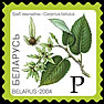 2004._Stamp_of_Belarus_0558.jpg
