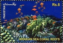 Colnect-1547-871-The-Arabian-Sea-Coral-Reefs.jpg