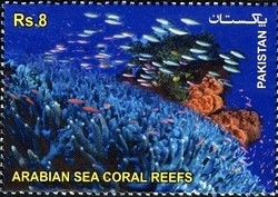 Colnect-1547-874-The-Arabian-Sea-Coral-Reefs.jpg