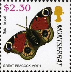 Colnect-1529-963-Great-Peacock-Moth-Saturnia-pyri.jpg