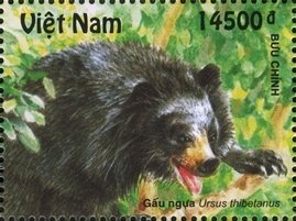 Colnect-1662-125-Asiatic-Black-Bear-Ursus-thibetanus.jpg