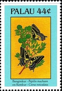 Colnect-3478-000-Papilio-machaon-Citrus-reticulata.jpg