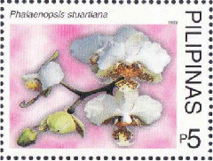 Colnect-2905-392-Phalaenopsis-stuartiana.jpg