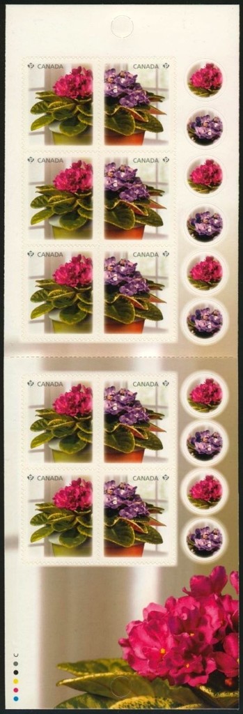 Colnect-3082-228-African-Violets.jpg