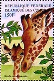 Colnect-5062-154-Giraffa-camelopardalis.jpg