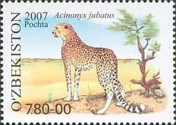 Colnect-197-363-Cheetah-Acinonyx-jubatus.jpg